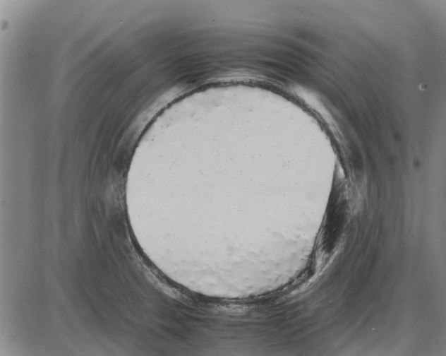 X0000085071329200704021401