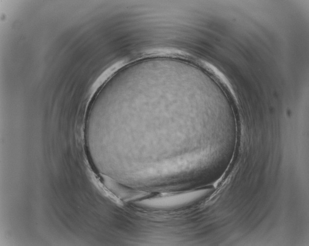 X0000085071330200704021401