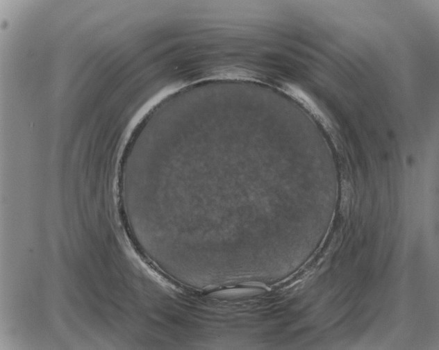 X0000085071331200704021401