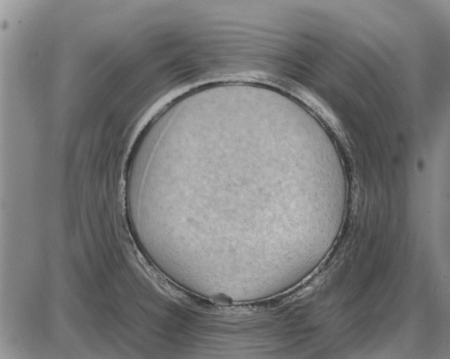 X0000085071332200704021401