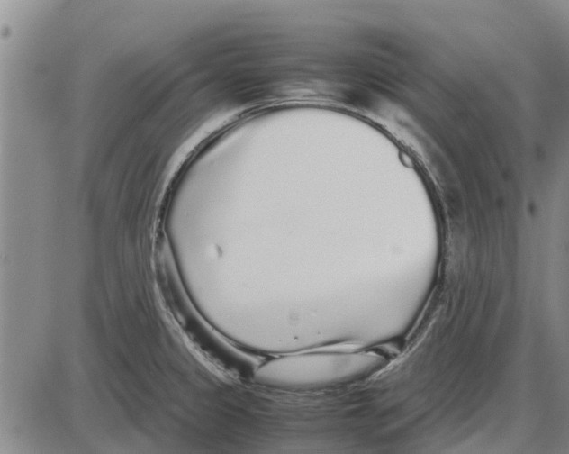 X0000085071333200704021401