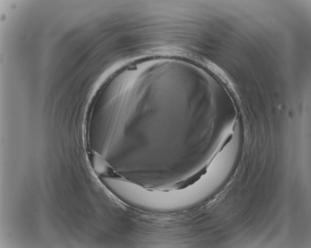 X0000085071334200704021401