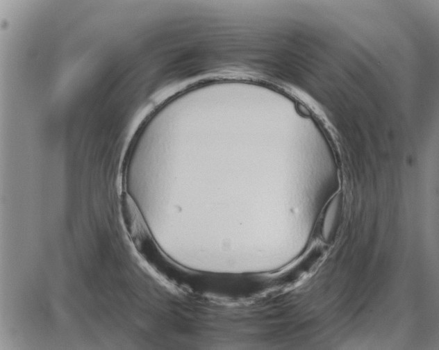 X0000085071335200704021401