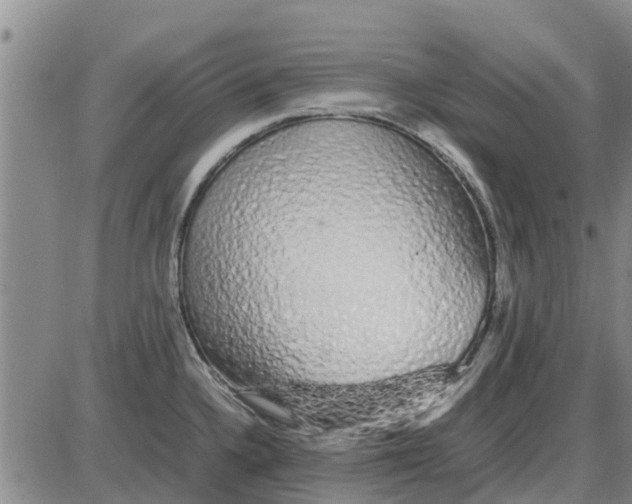 X0000085071336200704021401