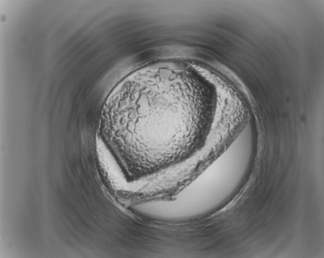 X0000085071337200704021401