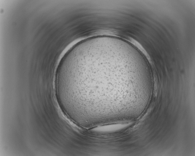 X0000085071339200704021401