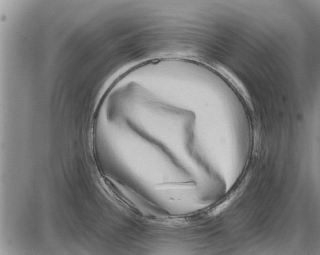 X0000085071340200704021401