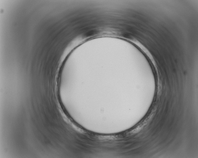 X0000085071341200704021401