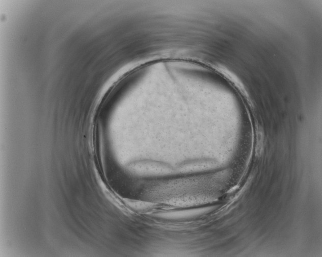 X0000085071342200704021401