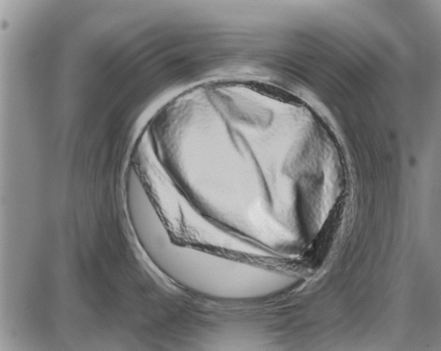 X0000085071344200704021401