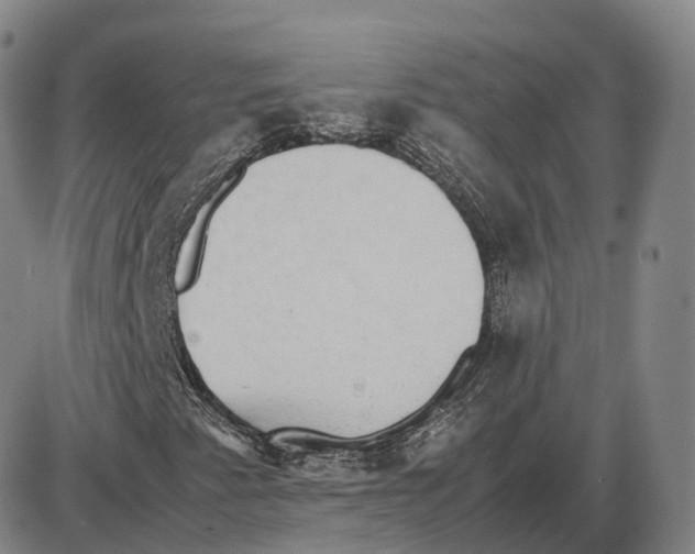 X0000085071345200704021400