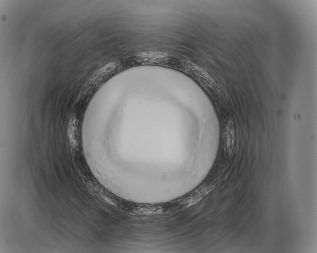 X0000085071346200704021400