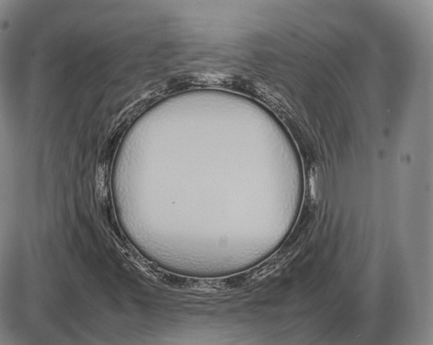 X0000085071347200704021400