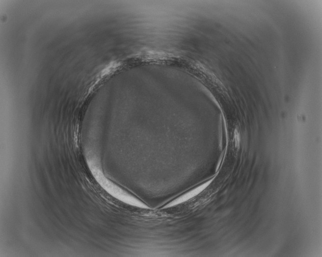 X0000085071348200704021400