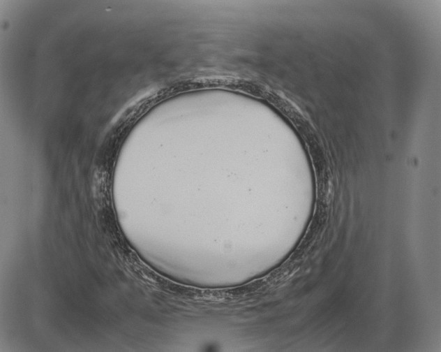 X0000085071351200704021400