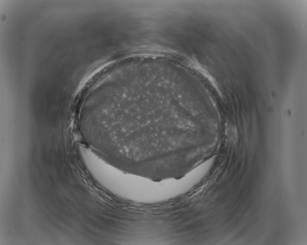 X0000085071352200704021400