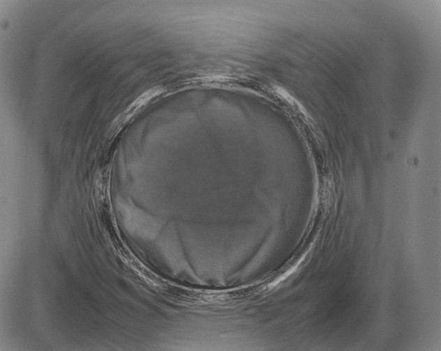 X0000085071353200704021400