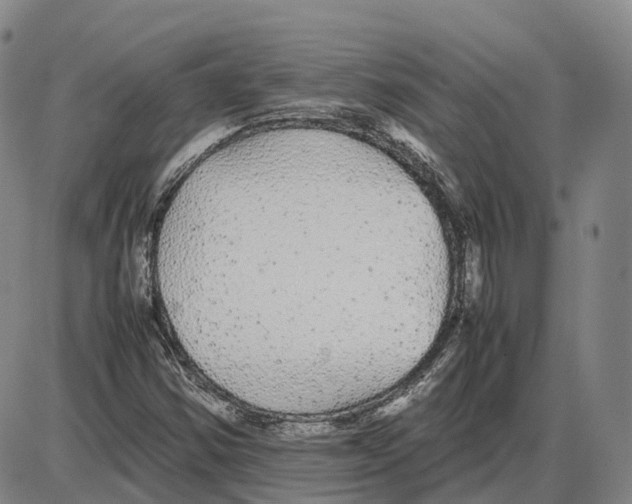 X0000085071354200704021400