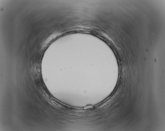 X0000085071355200704021400