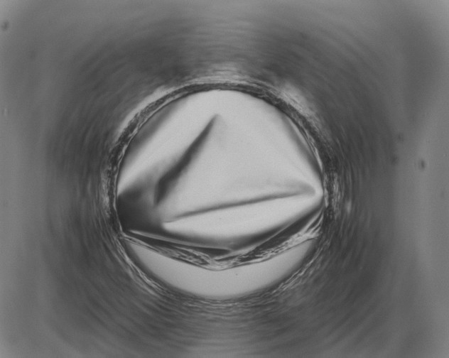 X0000085071356200704021400