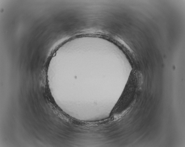 X0000085071358200704021400