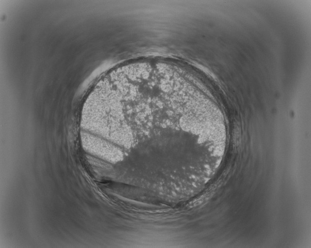 X0000085071359200704021400