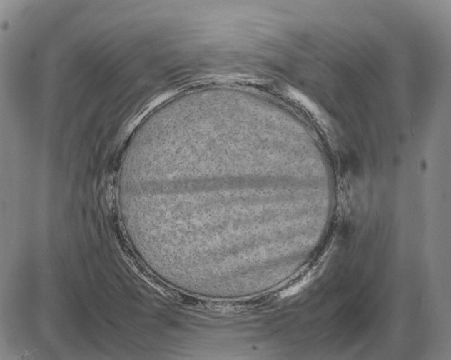 X0000085071361200704021400