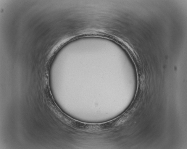 X0000085071363200704021400