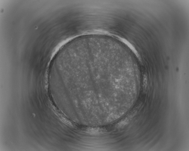 X0000085071364200704021400