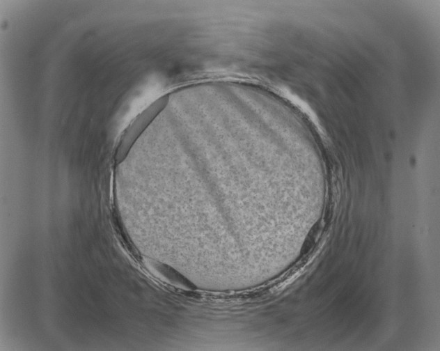 X0000085071365200704021400