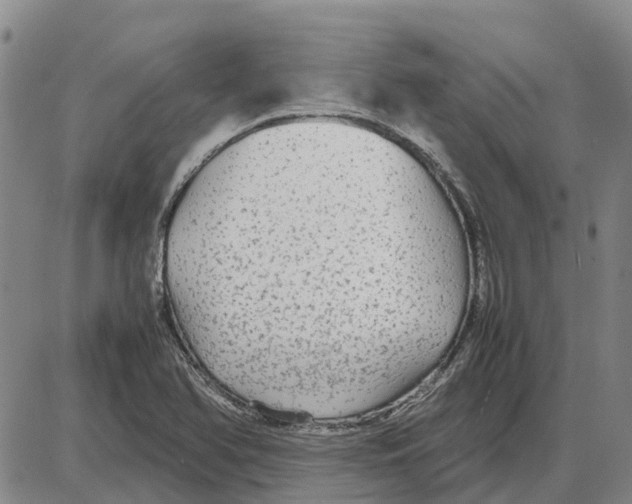 X0000085071366200704021400