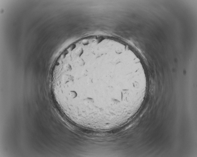 X0000085071367200704021400