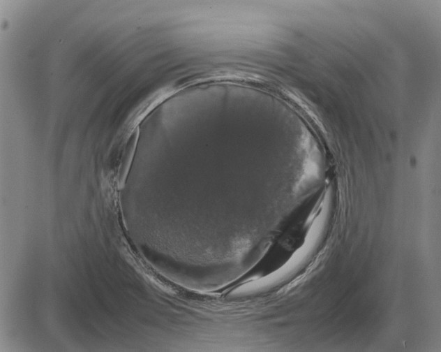 X0000085071369200704021400