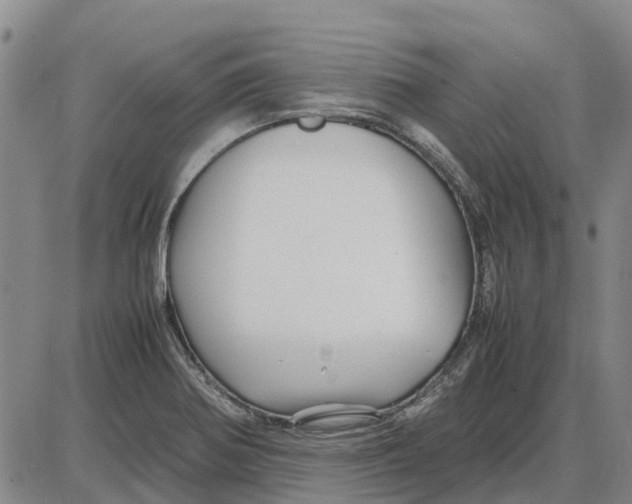 X0000085071370200704021400