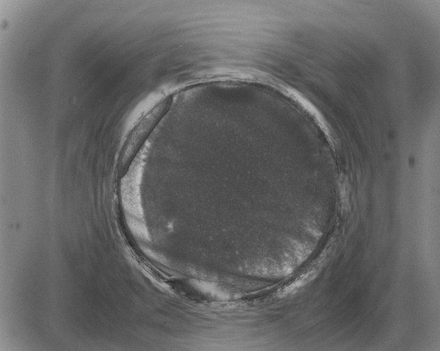 X0000085071373200704021400