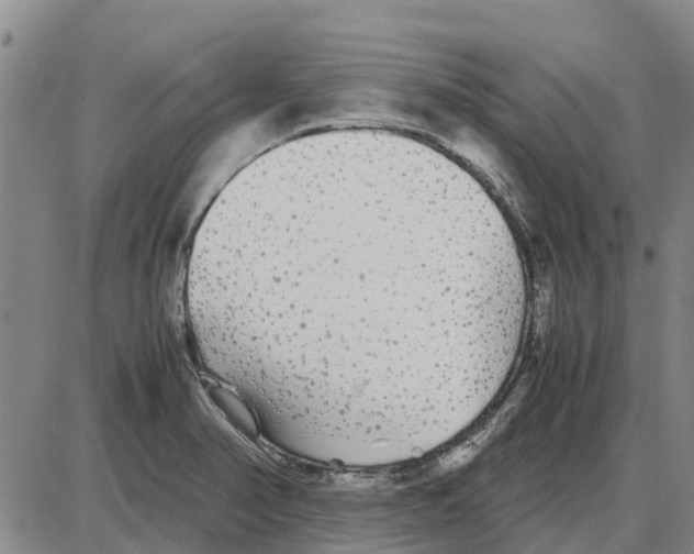 X0000085071374200704021400