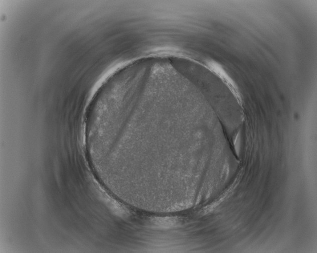 X0000085071376200704021359