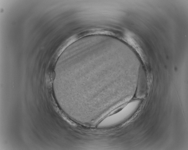 X0000085071377200704021359