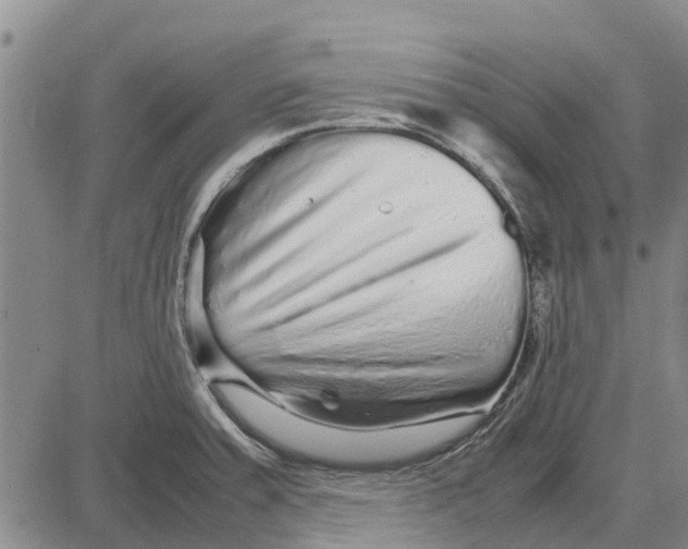 X0000085071379200704021359