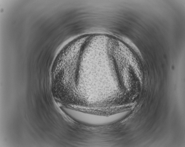 X0000085071380200704021359