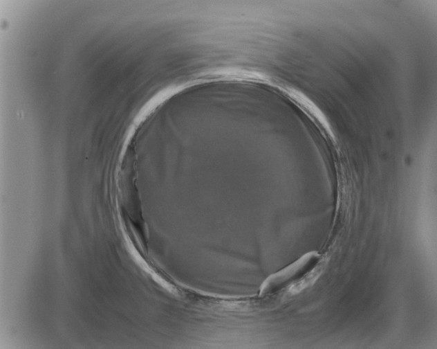 X0000085071381200704021359