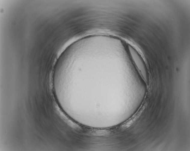 X0000085071382200704021359