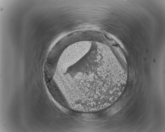 X0000085071383200704021359