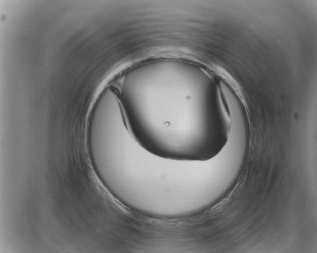 X0000085071384200704021359