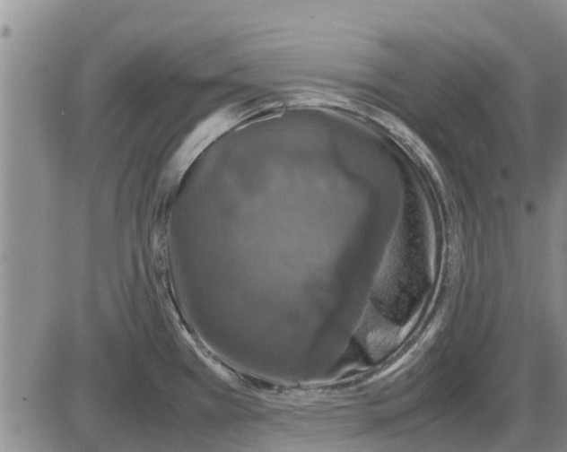 X0000085071385200704021359