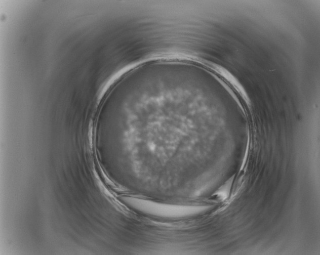 X0000085071388200704021359