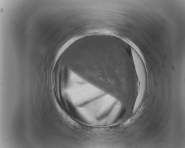 X0000085071389200704021359