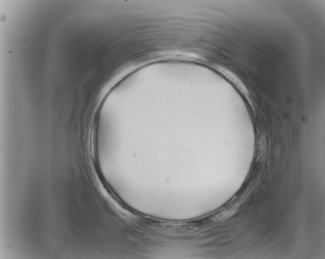 X0000085071391200704021359