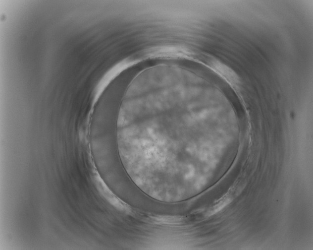 X0000085071392200704021359