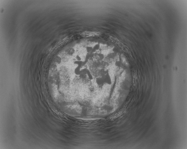 X0000085071393200704021358